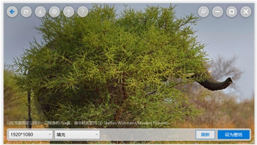 微软必应桌面程序 微软必应桌面程序