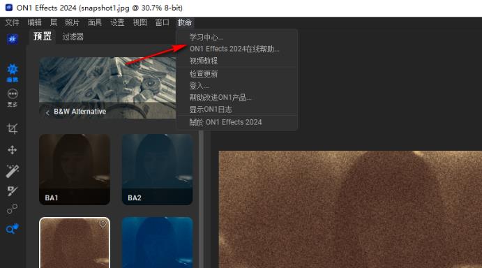 ON1 Effects 2024中文版运行截图