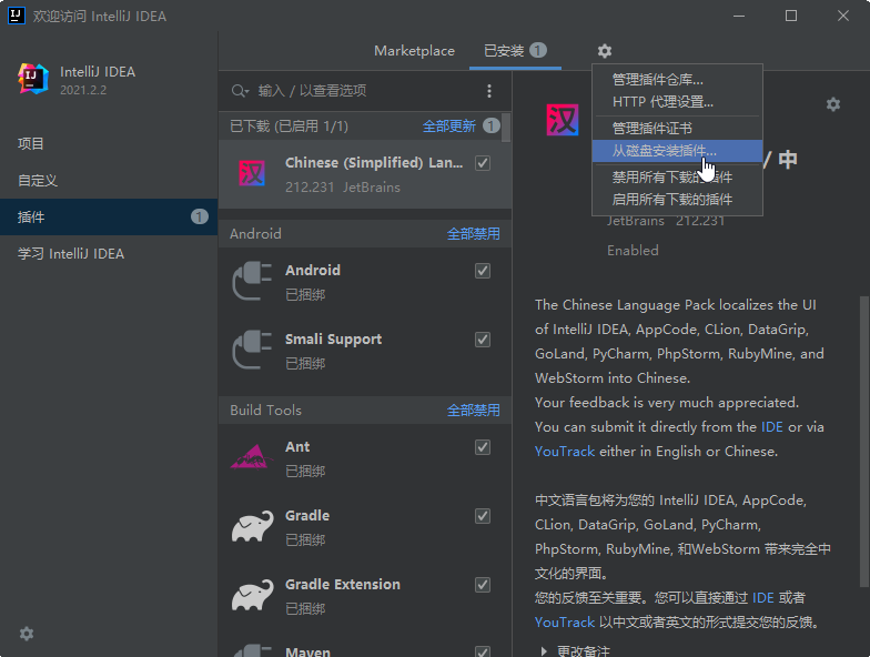 IntelliJ IDEA 2021�ٷ���
