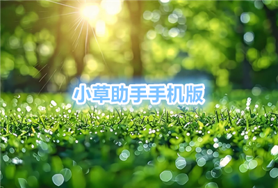 С�������ֻ���ٷ�����_С�������ֻ���app_С�������ֻ������°�����