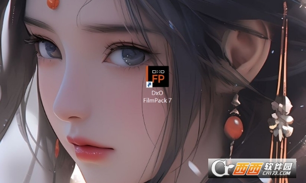 DxO FilmPack 7.11汉化激活版 完整版