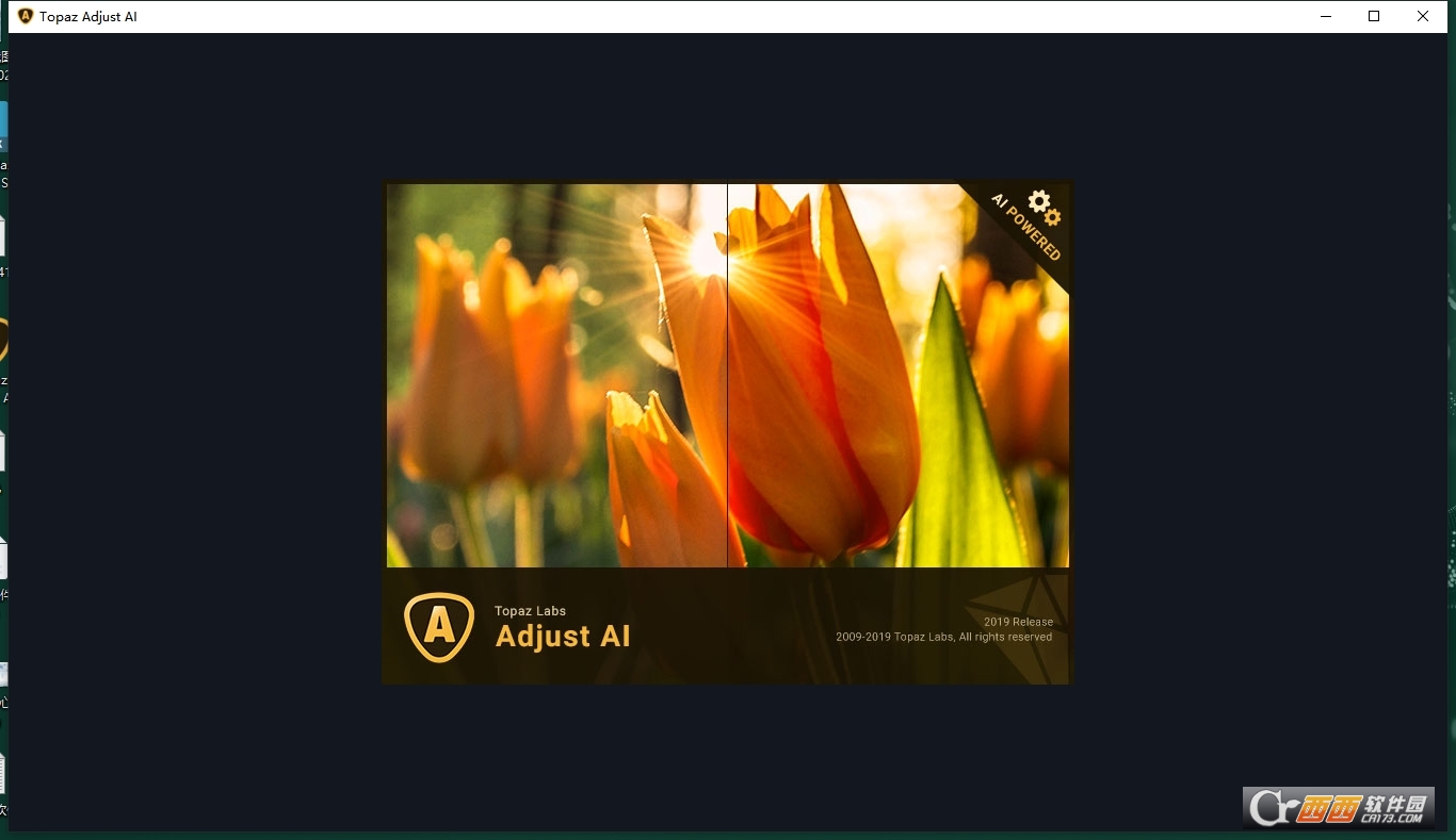 Topaz Adjust AI 1.0.5中文激活版 专业版