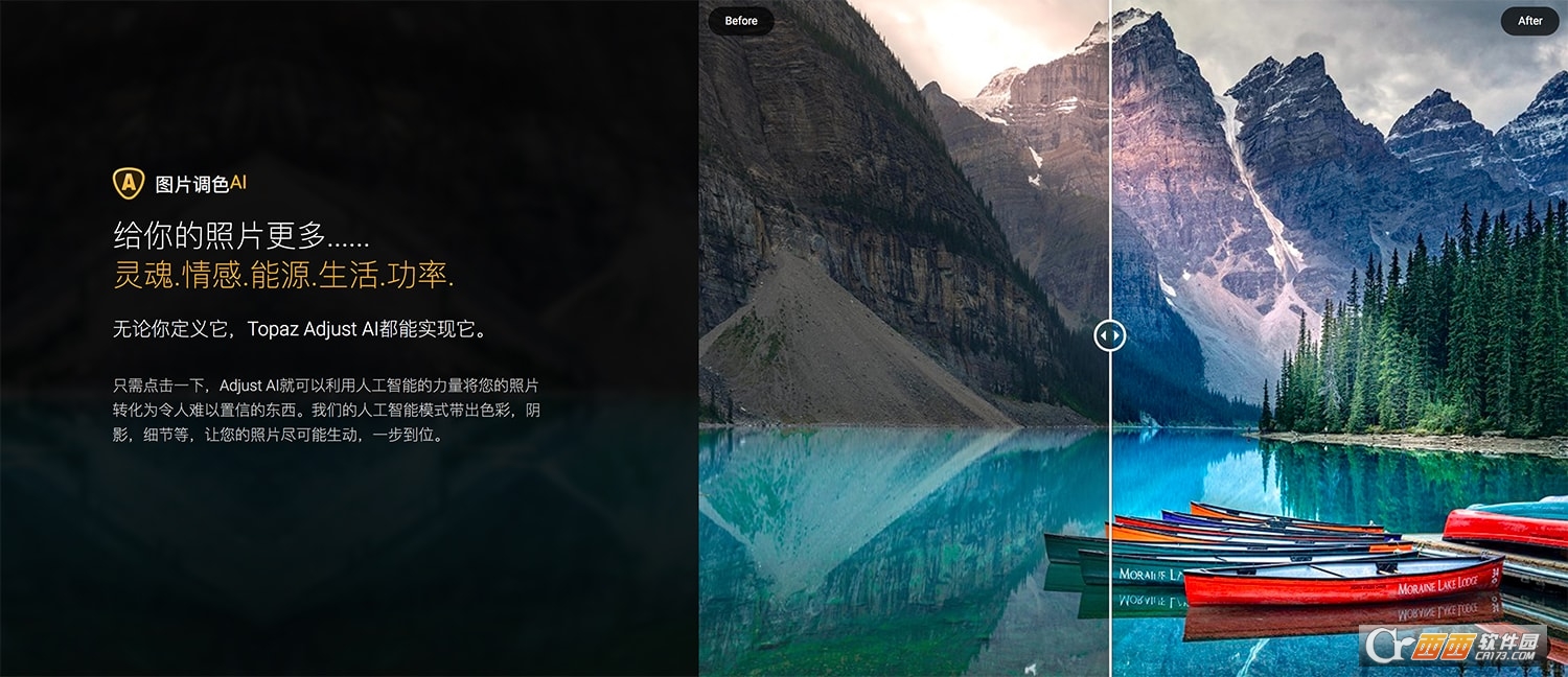 Topaz Adjust AI 1.0.5中文激活版 专业版