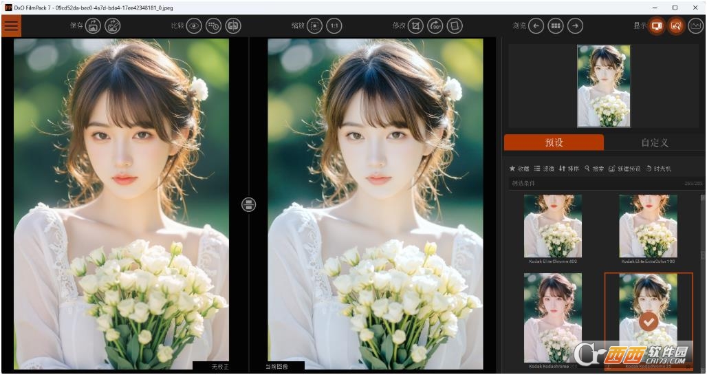 DxO FilmPack7.15中文激活版 完整版