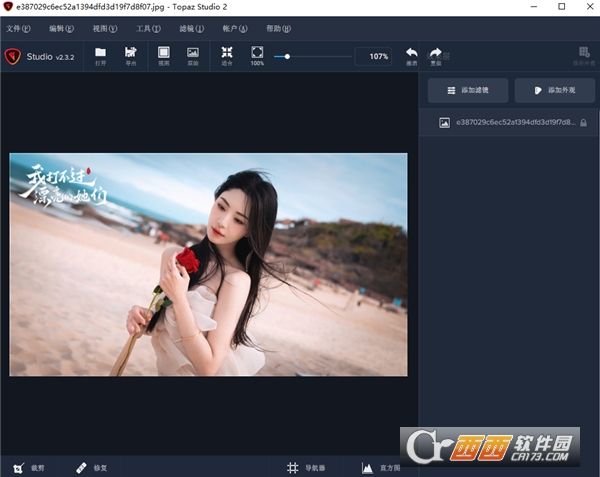 Topaz Studio 2.3.2中文免费版 完整版
