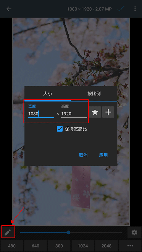 照片编辑器高级版运行截图