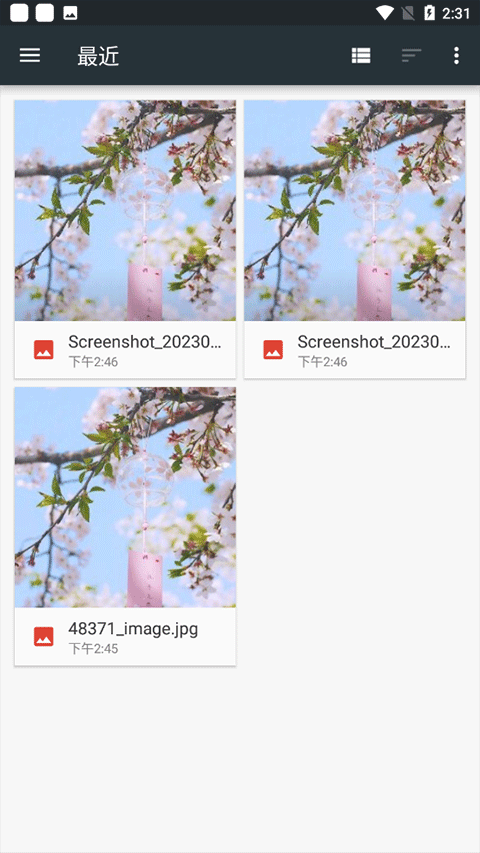 照片编辑器高级版运行截图