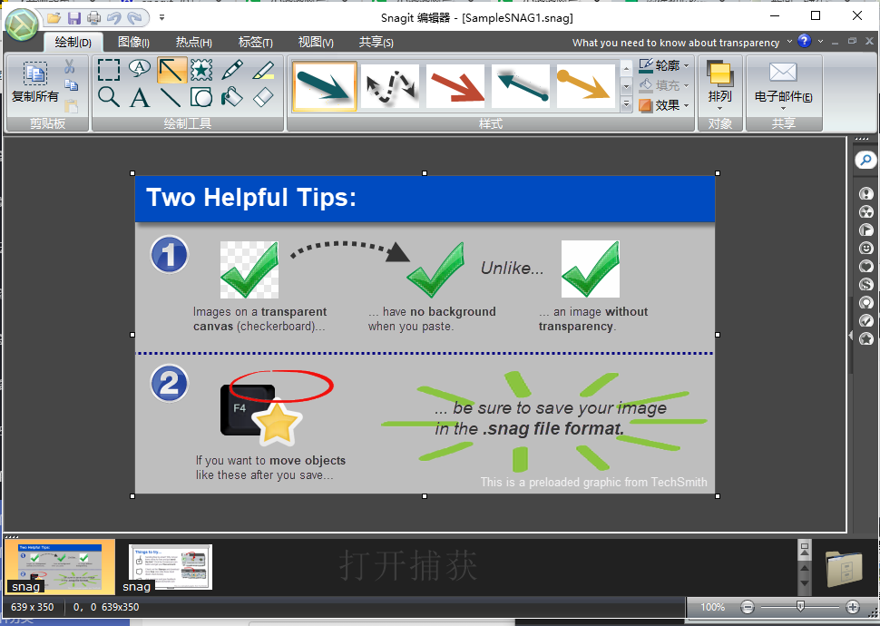 techsmith snagit 11中文激活版运行截图