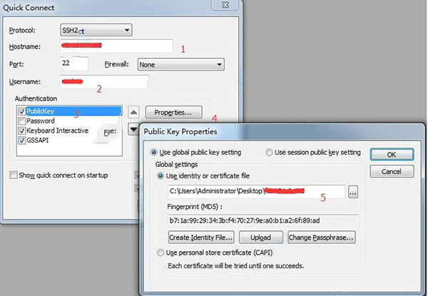 securecrt 9.6.3中文绿色版运行截图