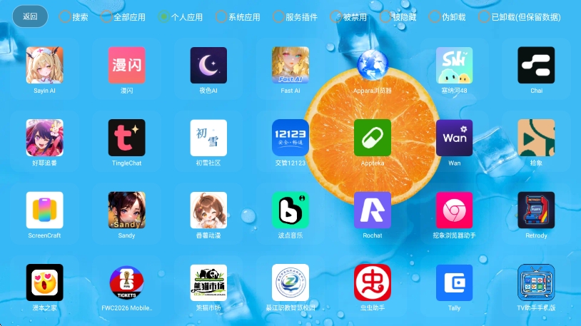 预览图