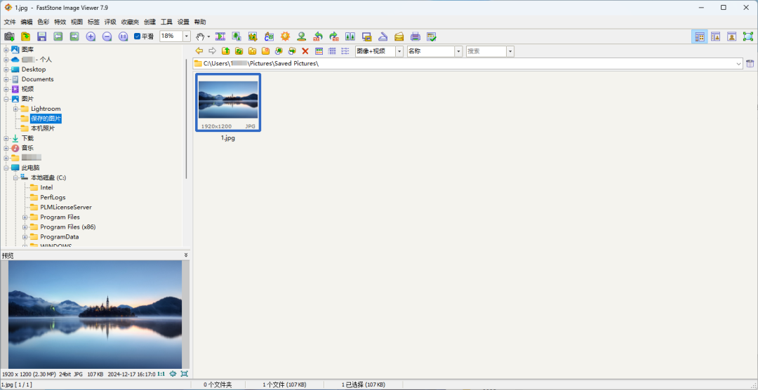 FastStone Image Viewer2026���н�ͼ