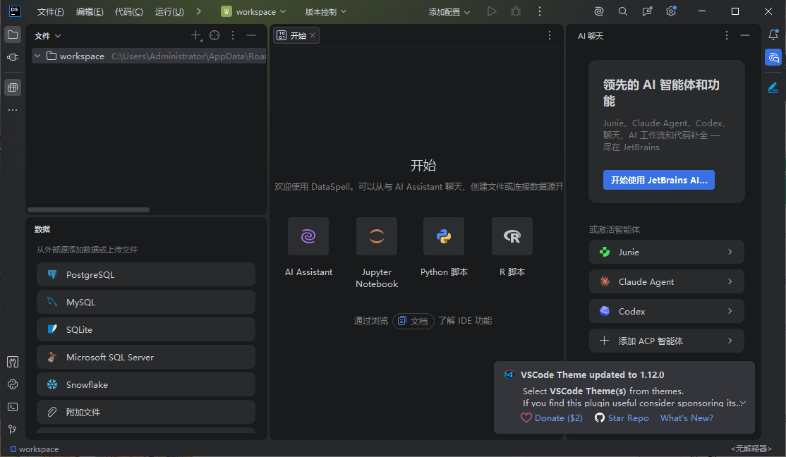 JetBrains DataSpell 2026中文最新版运行截图