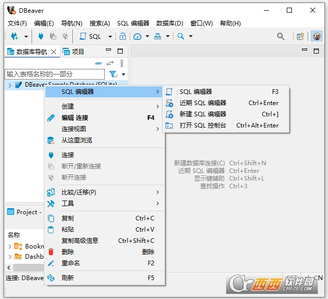 dbeaver旗舰版26.1.1最新版本 中文版
