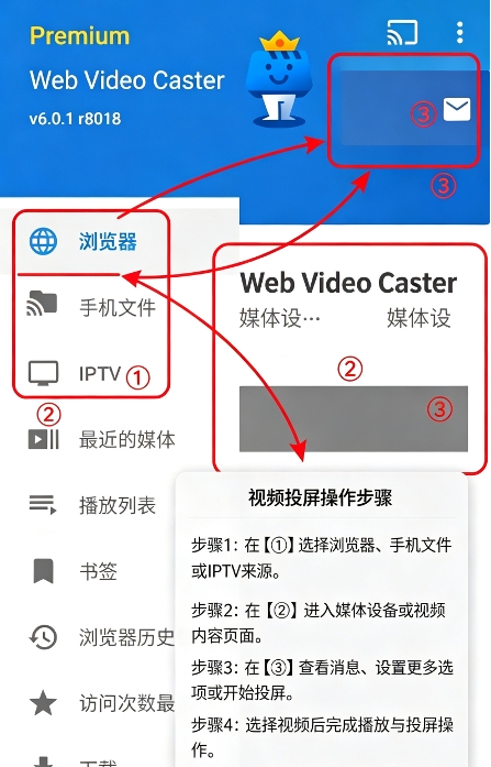 Web Video Caster