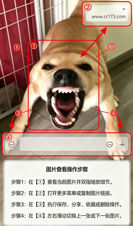 大狗叫 大狗叫