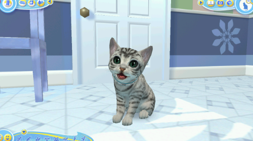 猫咪都是混蛋Cats are assholes 猫咪都是混蛋Cats are assholes