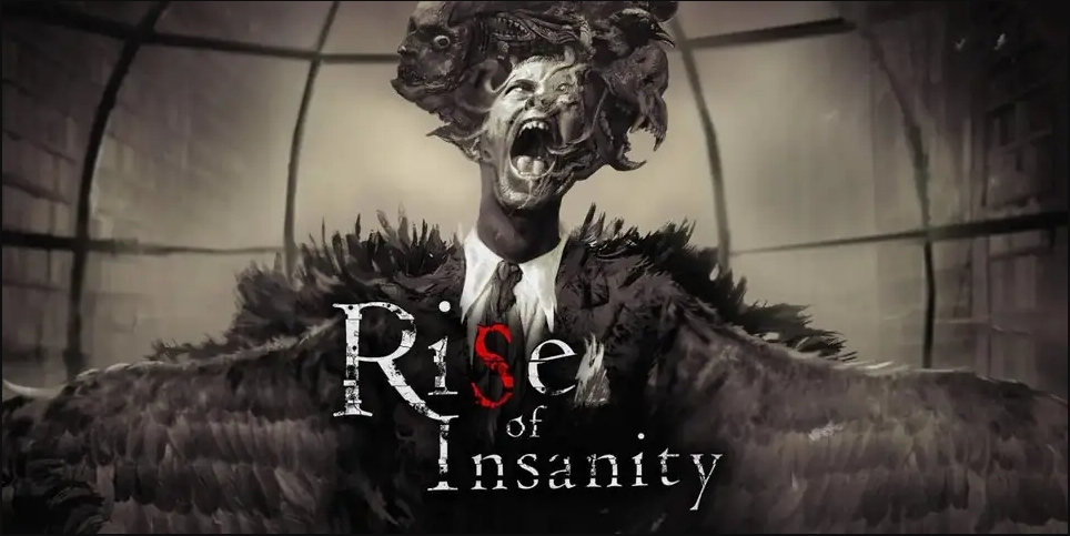 Rise of Insanity���֮Դ��Ϸ