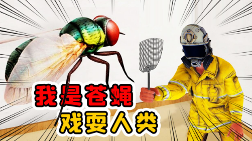 苍蝇模拟器Fly Simulator 苍蝇模拟器Fly Simulator