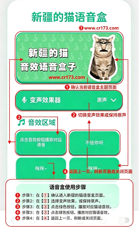 �½���è������