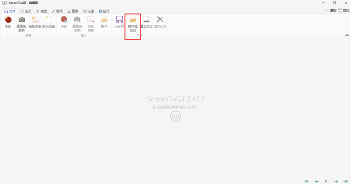 ScreenToGif ScreenToGif