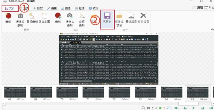 ScreenToGif ScreenToGif