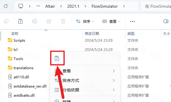Altair Flow Simulator 2021仿真软件 Altair Flow Simulator 2021仿真软件