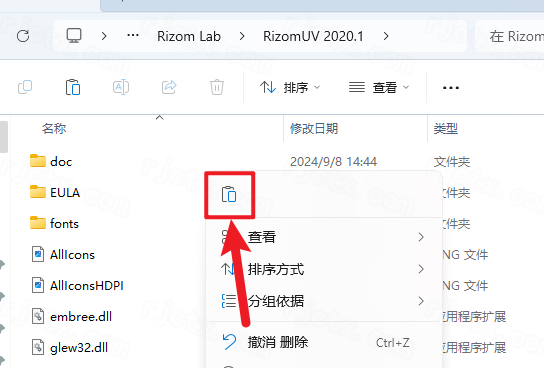 RizomUV 2020 RizomUV 2020