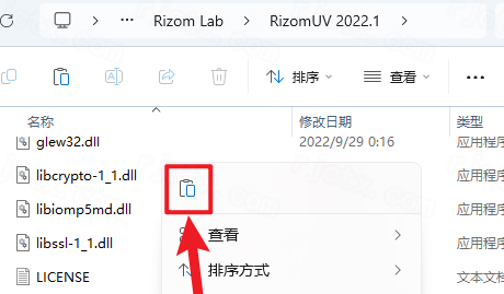RizomUV 2022