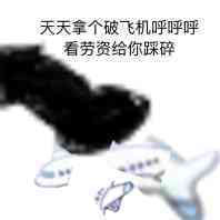 呼呼呼小飞机表情包