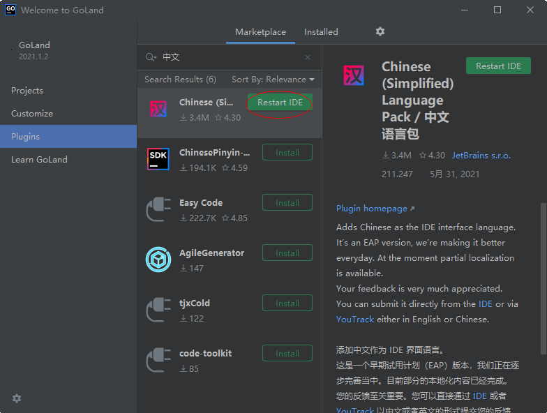 JetBrains GoLand 2021�������°�