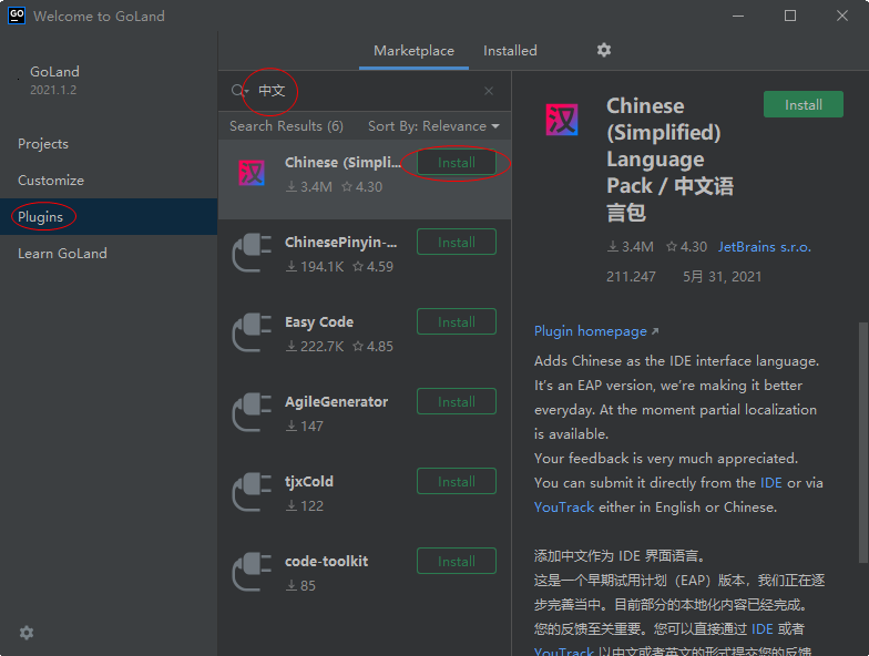 JetBrains GoLand 2021�������°�