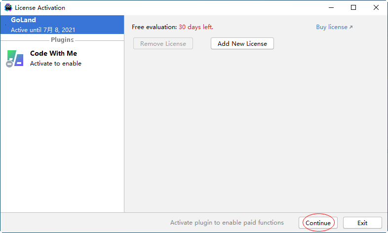 JetBrains GoLand 2021�������°�