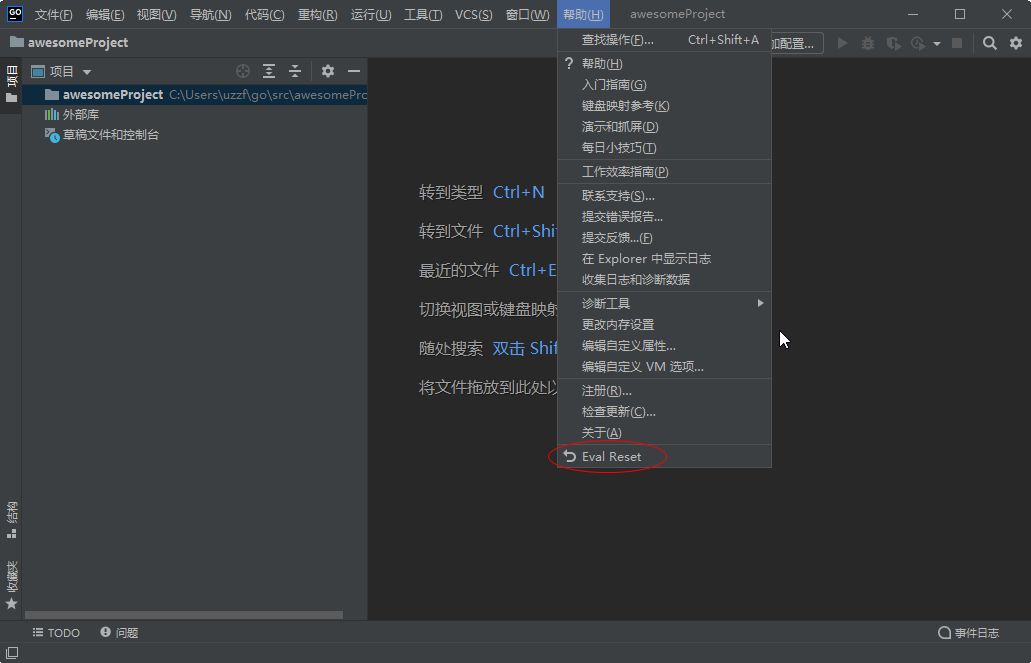 JetBrains GoLand 2021�������°�