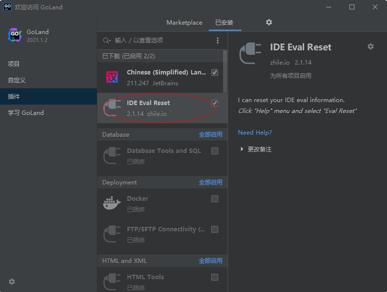 JetBrains GoLand 2021�������°�