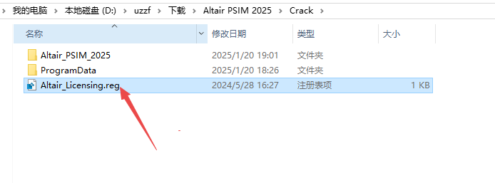 Altair PSIM 2025���ļ����