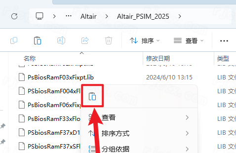 Altair PSIM 2025���ļ����