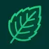 menthol������