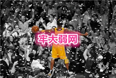 牢大弱网6.0_牢大弱网最新版_牢大弱网参数