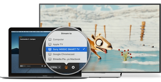 Elmedia Video Player Pro(֧��airplay)