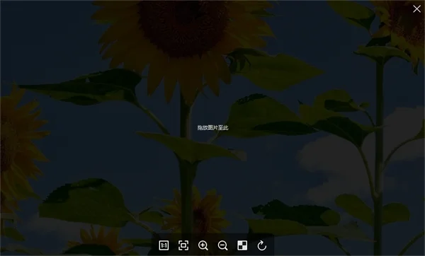 预览图