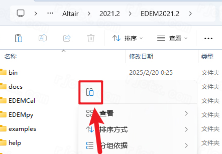 Altair EDEM 2021���Ľ�����