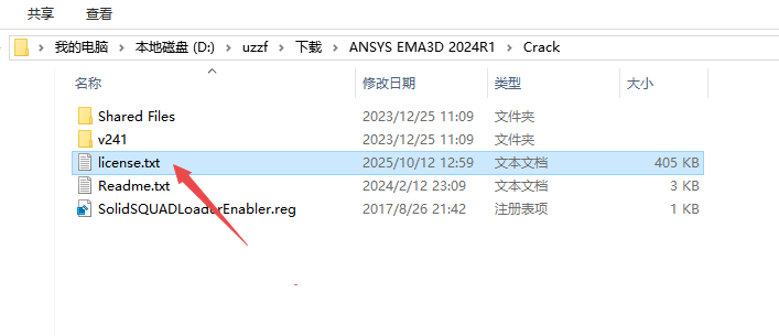 ANSYS EMA3D 2024 R1���ļ����