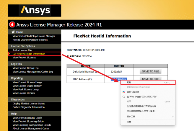 ANSYS EMA3D 2024 R1���ļ����