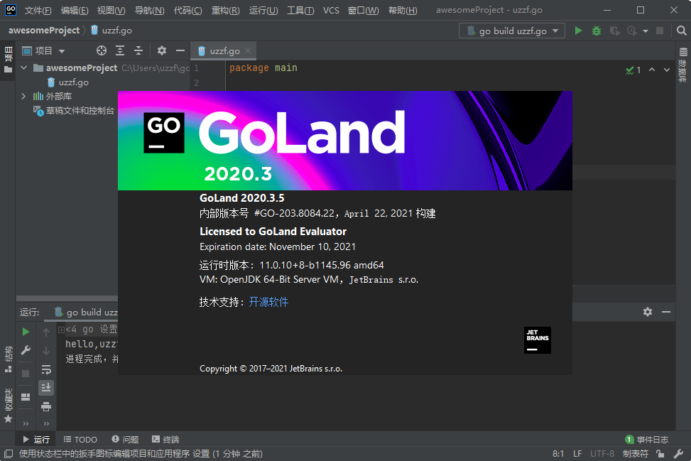JetBrains GoLand 2020中文版运行截图