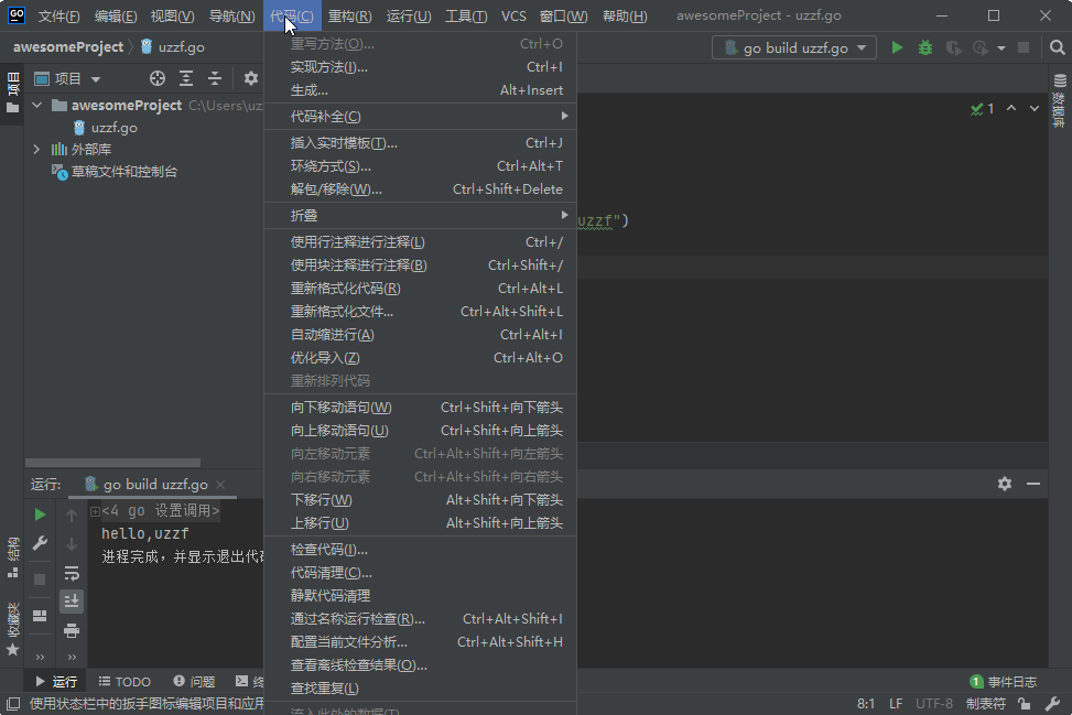 JetBrains GoLand 2020中文版运行截图
