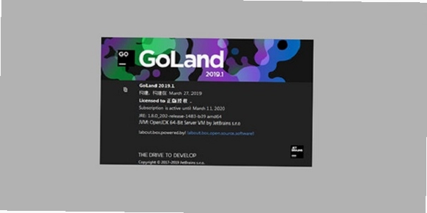JetBrains GoLand 2020中文版汉化完成