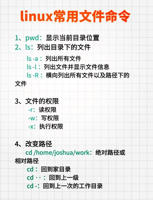 隐藏命令中文版 常见问题 权限设置 路径乱码 2026