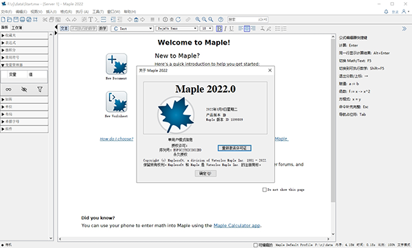 Maplesoft Maple