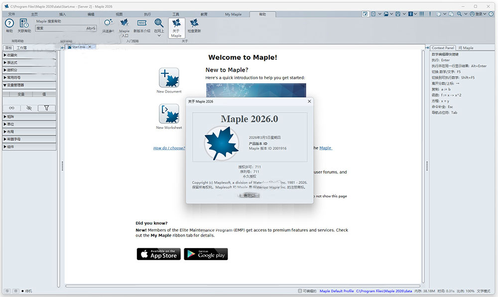 Maplesoft Maple运行截图