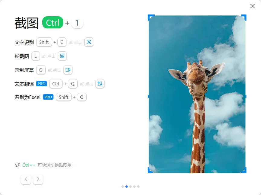 PixPin运行截图